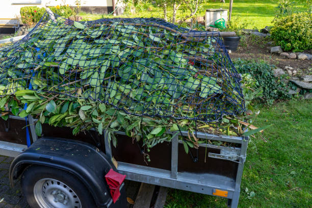 Best Shed Removal  in State College, PA